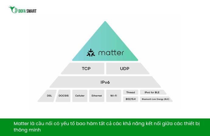 Matter là gì?