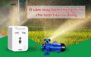  Ổ cắm máy bơm thông minh cho tưới tiêu tự động